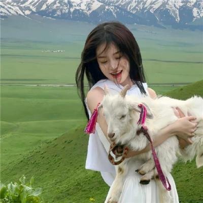 阿尔法爸爸