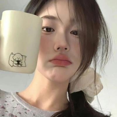 科搜研之女2022